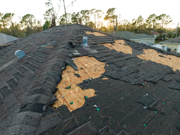 Best Roof Insulation Installation  in Fredericksburg, TX