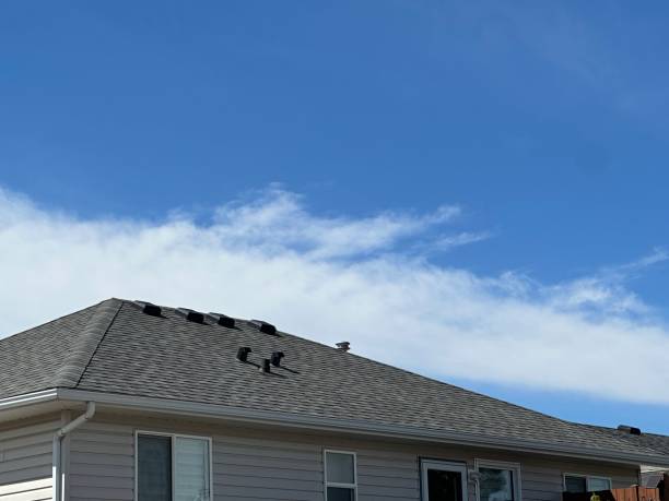 Best Gutter Installation and Repair  in Fredericksburg, TX